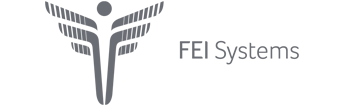 FEI Systems
